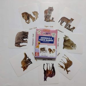 Animals and their Babies Flash Cards
