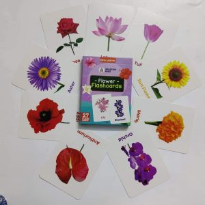 Flowers Flash cards