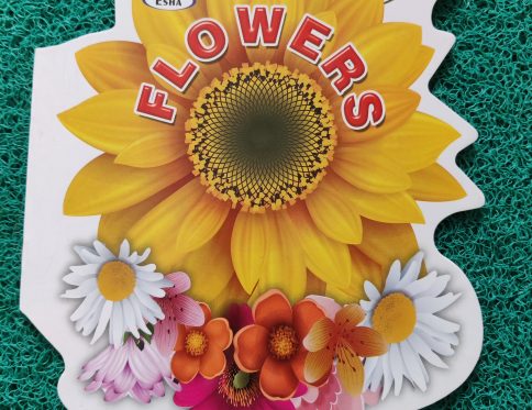 Jumbo Flowers Cut shape Coloring book
