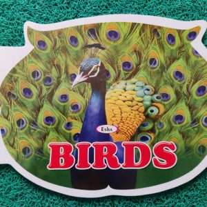 Jumbo Birds Cut shape Coloring book