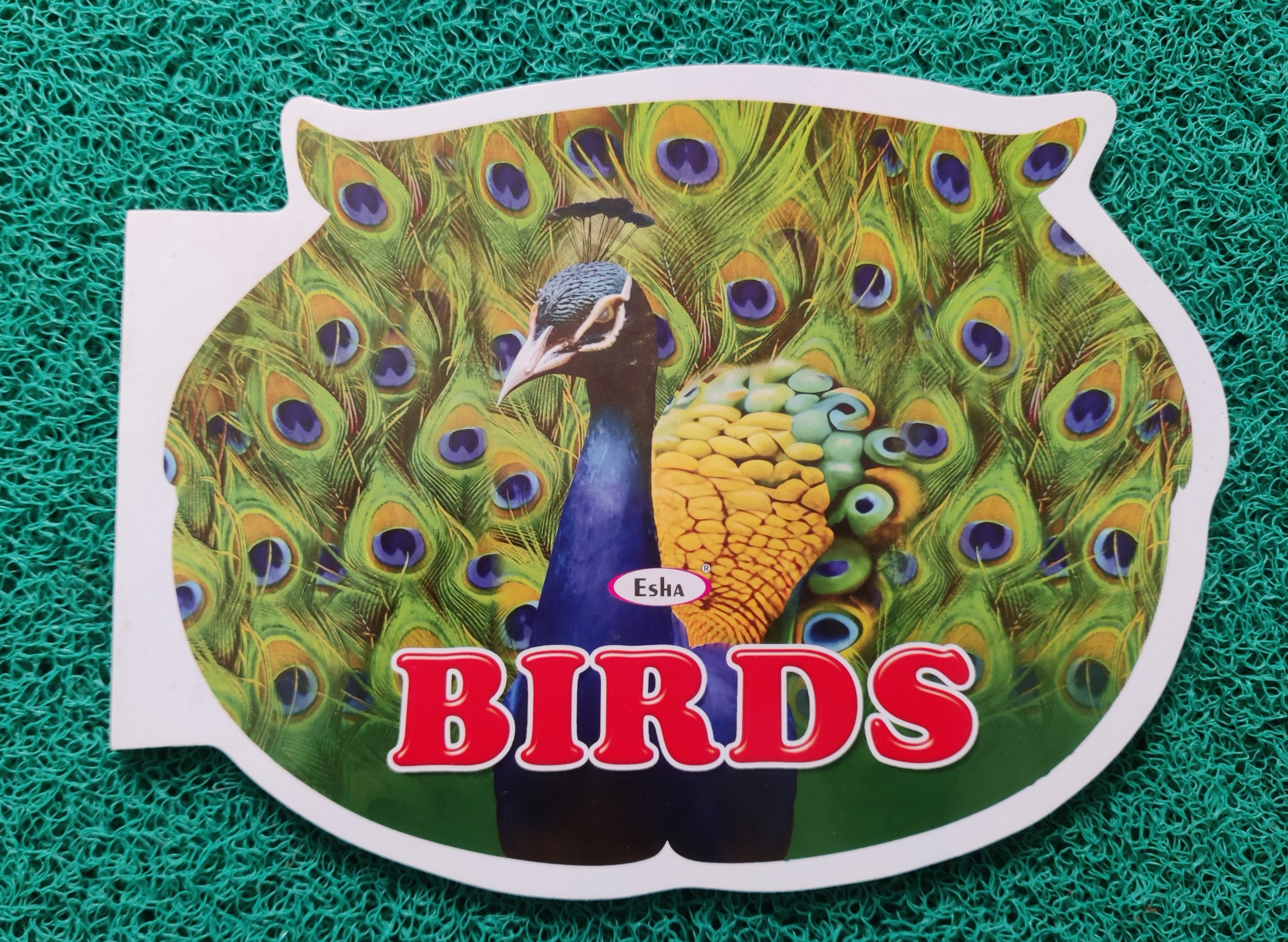 Jumbo Birds Cut shape Coloring book4