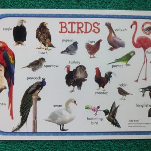 Kids Educational Birds reusable Table mat