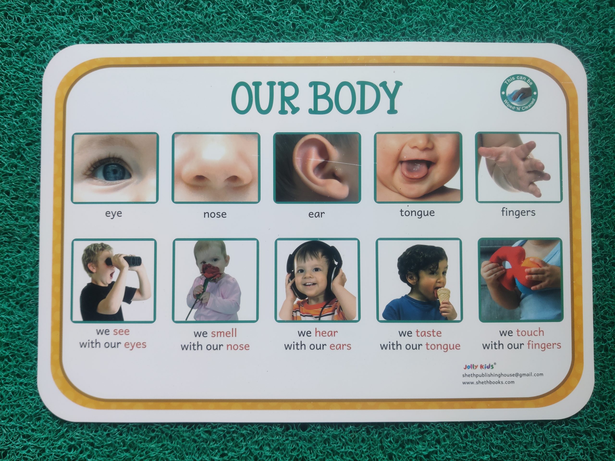 Kids Educational Our Body reusable Table mat1