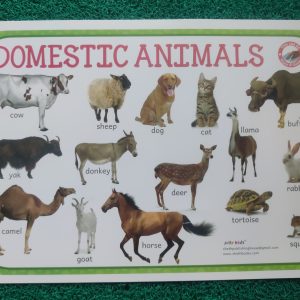 Kids Educational Wild animals and Domestic animals reusable Table mat