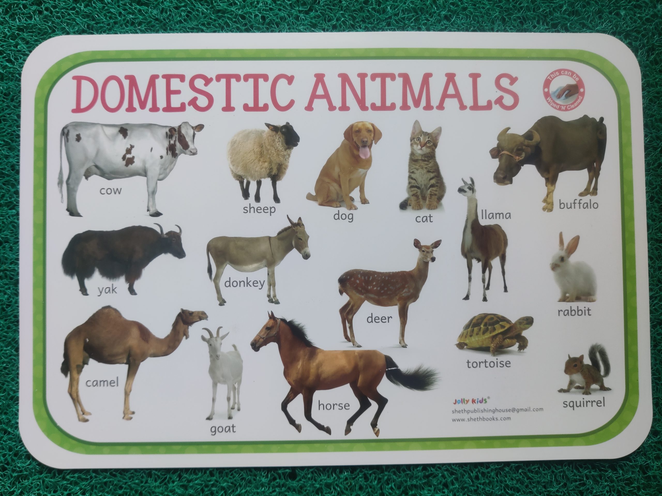 Kids Educational Wild animals and Domestic animals reusable Table mat