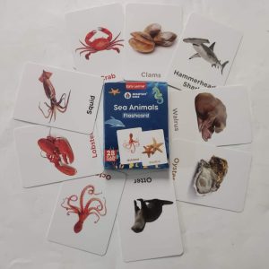 Sea animals Flash cards