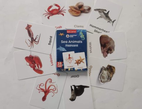 Sea animals Flash cards