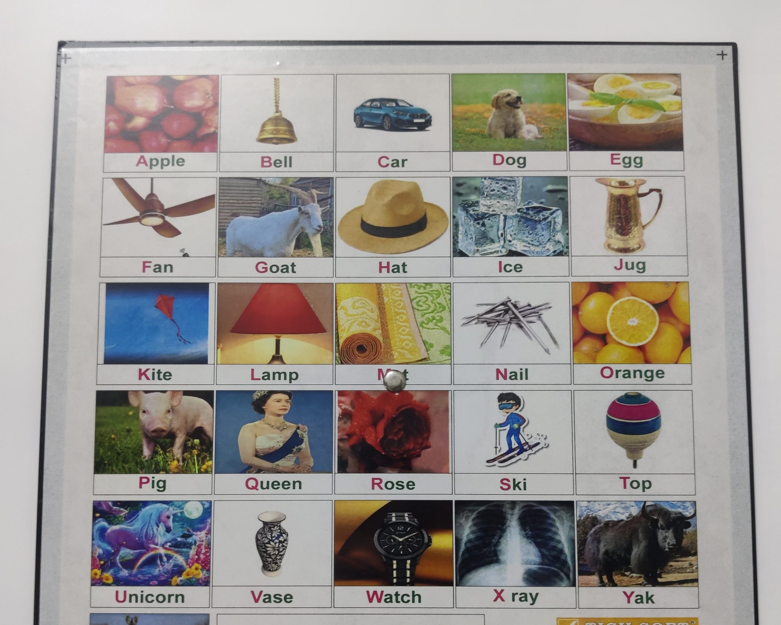 English Alphabet Wheel Back Side